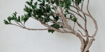 台灣皮革植物雕塑首登巴黎 Sishicraft Studio以創意工藝驚艷國際