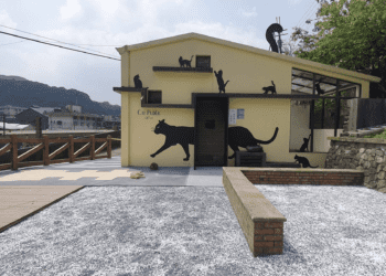 猴硐貓村迎來全新面貌 打造全新貓咪生活圈