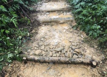 愛護宜蘭山林 松羅湖山徑維護手作步道