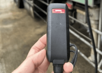 活豬屠體流向監控升級 新北嚴查運輸車GPS追蹤系統 最高罰15萬元