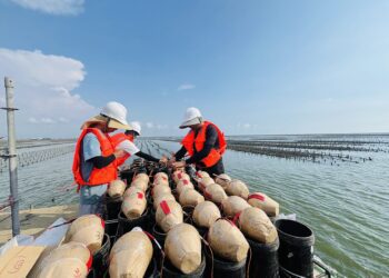 東石海之下煙火秀點亮夜空　1.7萬發煙火31日華麗登場