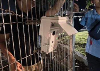 嘉義縣首創全國地空AI智能精準捕浪犬　提升捕犬效能