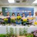 臺中農改場耐熱夏菊 新品種台中13號-晨光檸夢 提供國內栽培新選擇