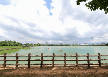 桃園1-4號生態步道動工　市民將享540公尺全新休憩場域