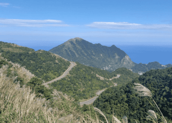 九份山城盛開銀白芒花 絕美秋日景點揭曉