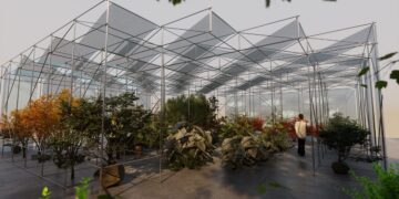 2025台灣設計展彰南展區 「田尾行」亮點搶先曝光