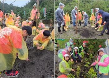 共織一片生態綠網　400餘位大小朋友在永樂校園植樹