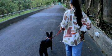 新北動保處推「認養後訓犬課」！專業訓練師到家服務 新手飼主不煩惱