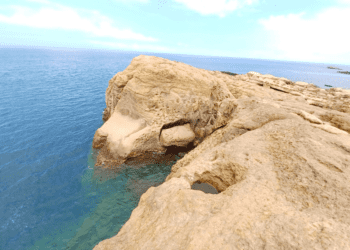 世界旅遊日倒數 新北市5大動物造型景點等您來探索