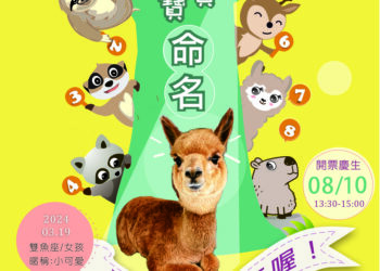 兆豐羊駝寶寶命名慶生派對暨父愛如山88有禮父親節優惠