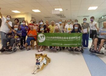 影音/響應國家失智症月　榮家導入動物輔助治療照護失智長輩