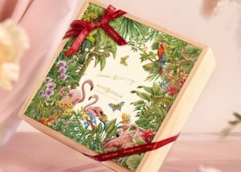 「Adventure with you」系列精品禮盒 Aunt Stella詩特莉與宋智惠聯名，帶您展開愛的探險旅程