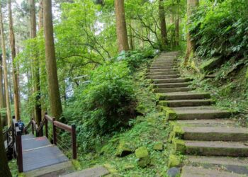 推廣嘉義縣秋季步道健行旅遊  翁章梁合體氣象主播王淑麗