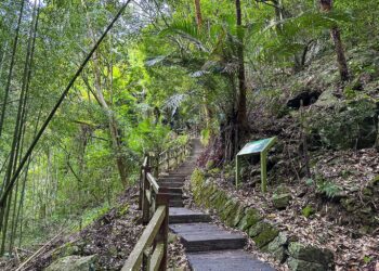 嘉義豐山村處處美景　歡迎遊客探訪