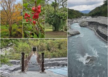 到處旅遊趣∕蝴蝶谷的初冬