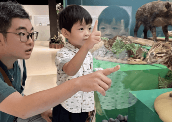 親手打造史前時尚 世界動物日限定「貝殼項鍊」DIY活動等你來挑戰