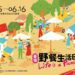 2024野餐生活日活動 好逛好玩好吃體驗眷村野餐時光