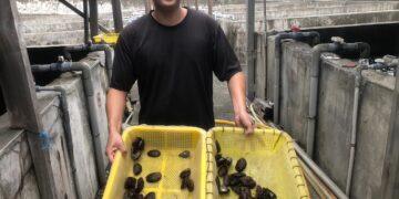 貢寮鮑最肥美　新北澳底漁港11/15、16邀您「貢饗鮮味」