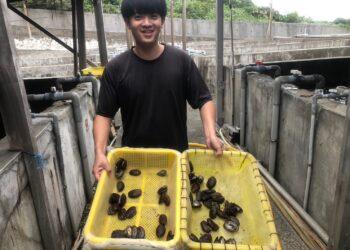 貢寮鮑最肥美 新北市澳底漁港11/15、16連兩日辦「貢饗鮮味」活動