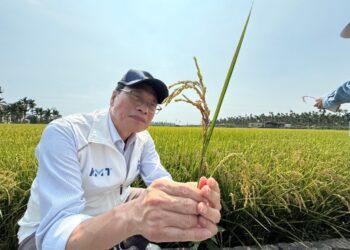 豪雨致農損破4千萬元　蘇清泉為屏東農民請命：提高災損補助、別讓農民獨自承擔