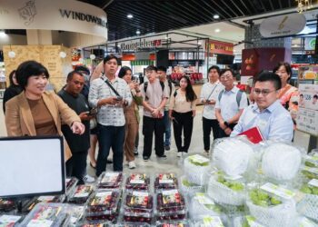 拓展農產品通路 臺東縣府攜手青農訪星尋求新通路