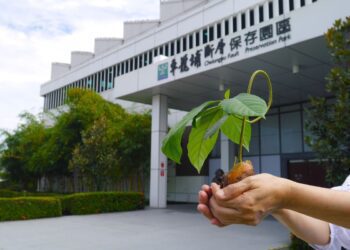 科博館車籠埔斷層保存園區與婦女協會合作種植臺灣原生種