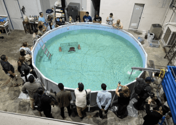 113年新北鯨豚海龜保育教育課程 培育未來的小小保育尖兵