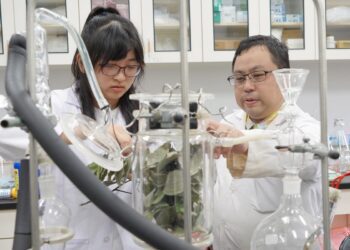 影音/大葉大學結合製茶方式萃取肉桂精油 藥保系獲新型專利