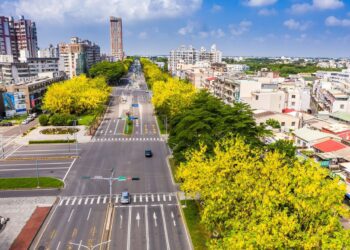 嘉市浪漫飄灑「黃金雨」　 阿勃勒花季喜見遷粉蝶、獨角仙現蹤