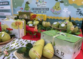 「柚保平安 幸福中秋」　歡迎民眾踴躍訂購斗六文旦