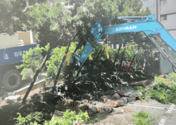 龍柏樹移至動物之家 舒適樹蔭造福毛寶貝