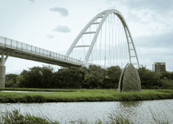 環保藝術新體驗 第六屆新北濕地藝術季徵件開跑 創作補助金兩萬五千元等您拿