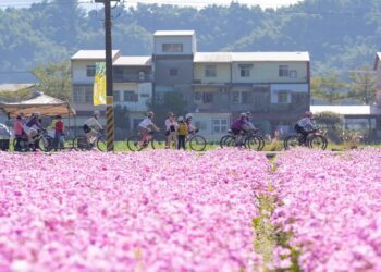 高市新春遊程大公開　花語溫泉幸福遊