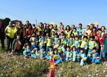 2024彰化市花花世界賞花樂　花海裡多樣裝置藝術粉嫩大波斯綻放美不勝收