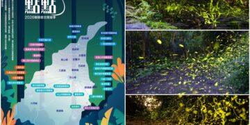 影音/宜蘭「螢河點點」賞螢季導覽 4/1-5/31登場