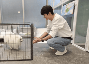 蛇年毛寶貝安心住 新北提醒選擇合法寵物旅館3大要素