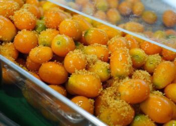 臺北花博農民市集 金黃滿載 宜蘭黃金柑鮮果上市