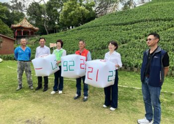 彰化虎山巖金針花爆紅　猜第一朵金針花何時開 請大家把握時間來賞花