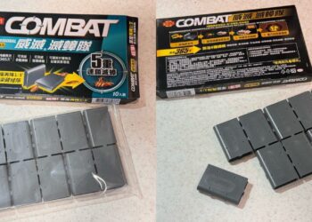 「蟑」東西出沒要留意！網推最強神季滅蟑法寶