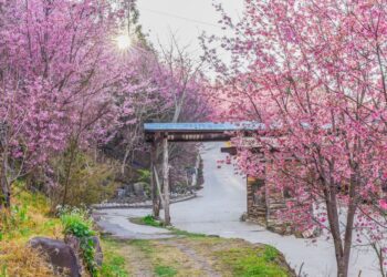 過年尋訪台灣秘境景點　這三個最神！