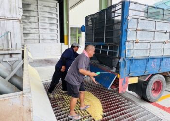 公糧政策調整助稻農大幅增加收益四成 埤頭鄉農會總幹事：對基層農友實質的幫助