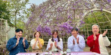 瑞里紫藤花季浪漫登場　山城化身紫色花廊邀旅人春日漫遊