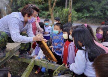 春暖花開來三峽！蜂樺蜂蜜推互動食農體驗 帶你揭開山嵐間的「液體黃金」
