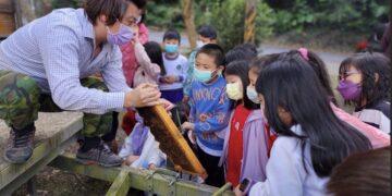 春暖花開來三峽！蜂樺蜂蜜推互動食農體驗 帶你揭開山嵐間的「液體黃金」