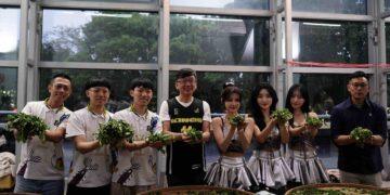 當碧螺春遇上新北國王！新北茶產業跨域聯名地方籃球 開創食農教育新模組