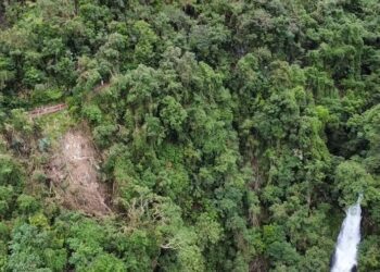 康芮颱風災情猶存！　五峰旗登山步道即日起長期休園