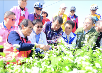 蕎麥之鄉再現美景 張善政助陣大園蕎麥花海推廣活動
