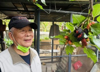 榮家「開心農場」也有神農氏 用心耕耘播下生命力與人情味