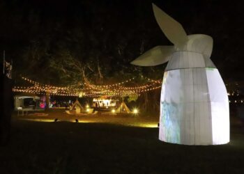 「2023北港光影藝術節」獲法國創新設計大獎 讓世界看見雲林之美