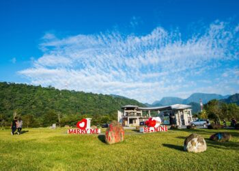 嘉義春節親子遊：逐鹿、草原、美景與玫瑰手作體驗全收錄